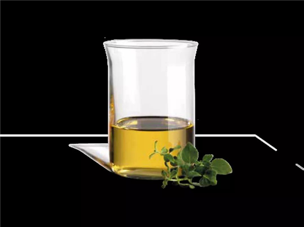 中国电子游艺网站下载安装
