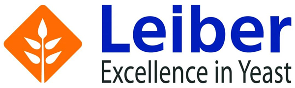 中国电子游艺网站下载安装
