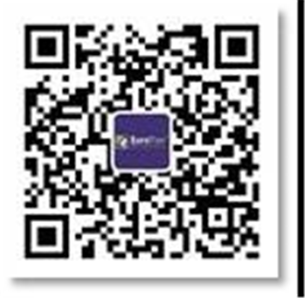 中国电子游艺网站下载安装
