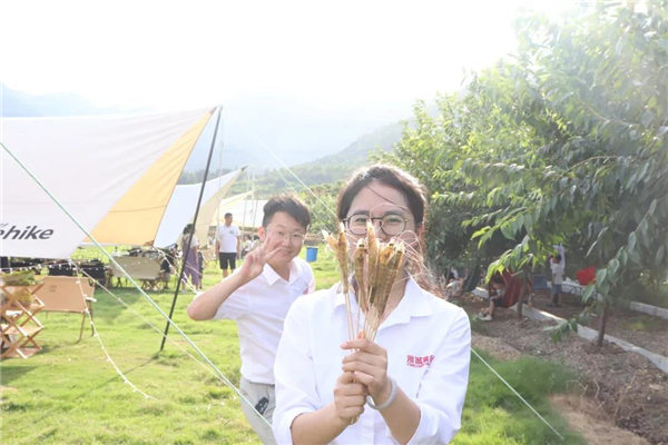 中国电子游艺网站下载安装
