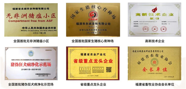 中国电子游艺网站下载安装
