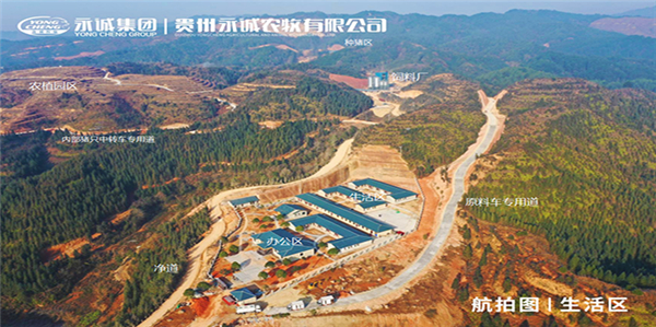 中国电子游艺网站下载安装
