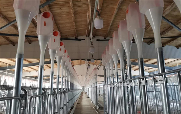 中国电子游艺网站下载安装
