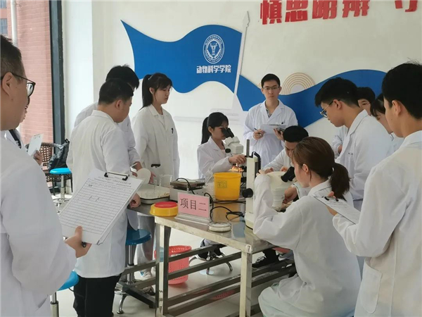 中国电子游艺网站下载安装
