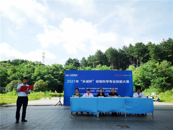 中国电子游艺网站下载安装