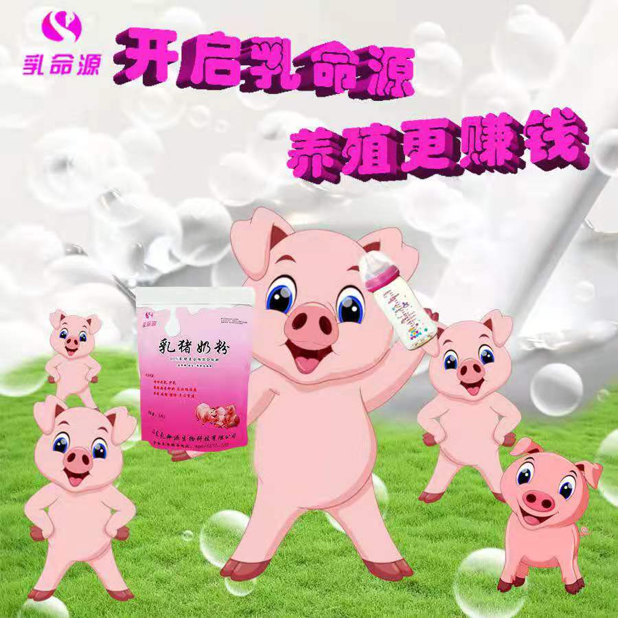 乳命源弱猪奶粉提高小猪食欲使小猪健康成长