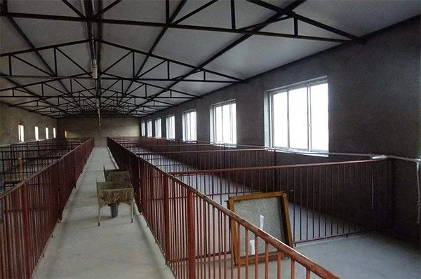 看过来！农村小型养电子游艺网站
设计，最低成本科学养猪简易猪舍建造图