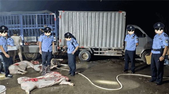 富川瑶族自治县公安局治安大队联合农业农村局、市场监督管理局等有关部门对位于富川瑶族自治县富阳镇生猪屠宰点进行检查。