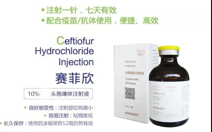 中国电子游艺网站下载安装
