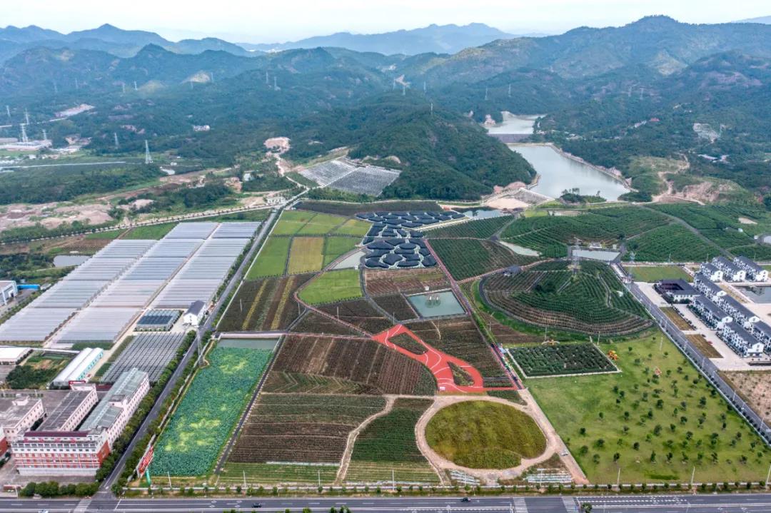 乡村振兴要真刀真枪地干，离不开真金白银地投。
