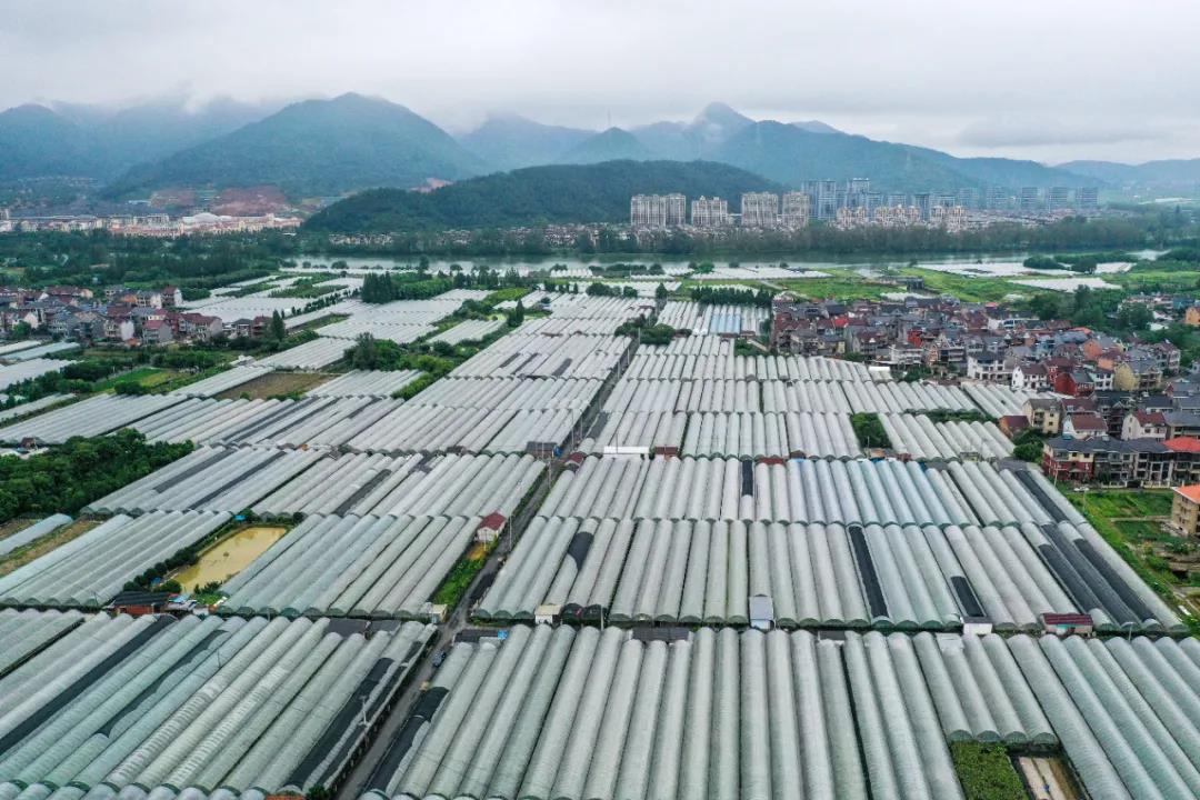 乡村振兴要真刀真枪地干，离不开真金白银地投。