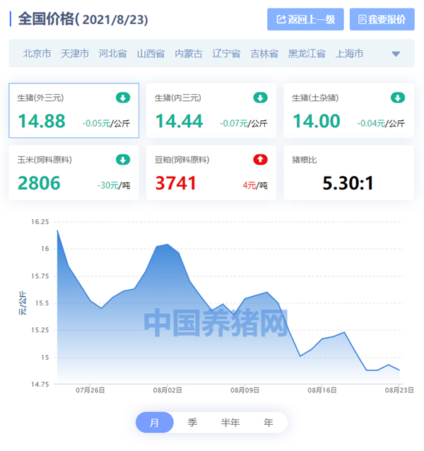 中国电子游艺网站下载安装