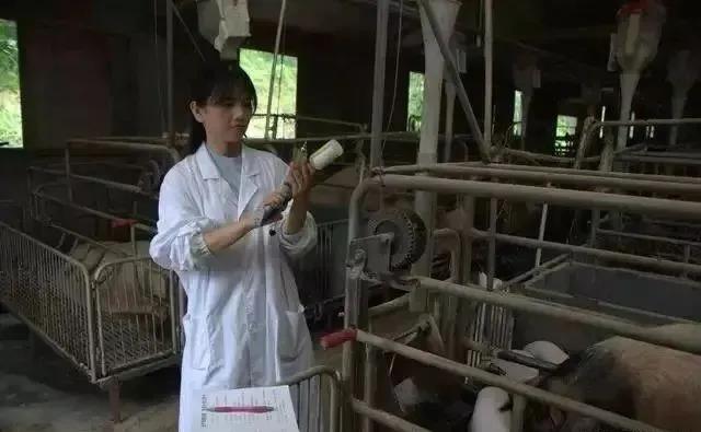 中国电子游艺网站下载安装
