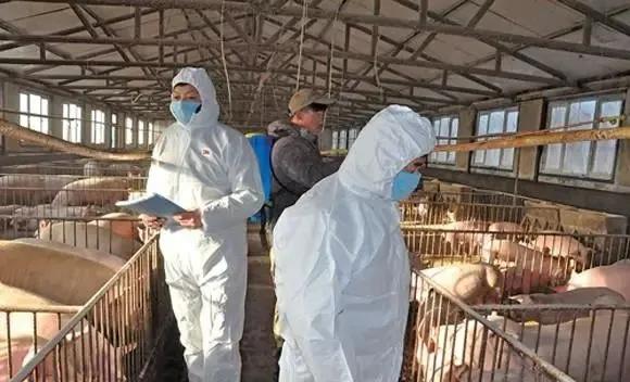 中国电子游艺网站下载安装