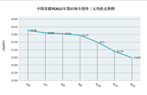 中国电子游艺网站下载安装