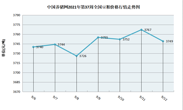 中国电子游艺网站下载安装