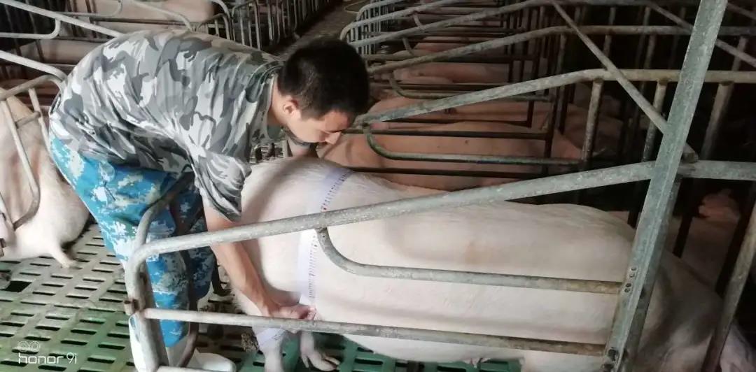 中国电子游艺网站下载安装
