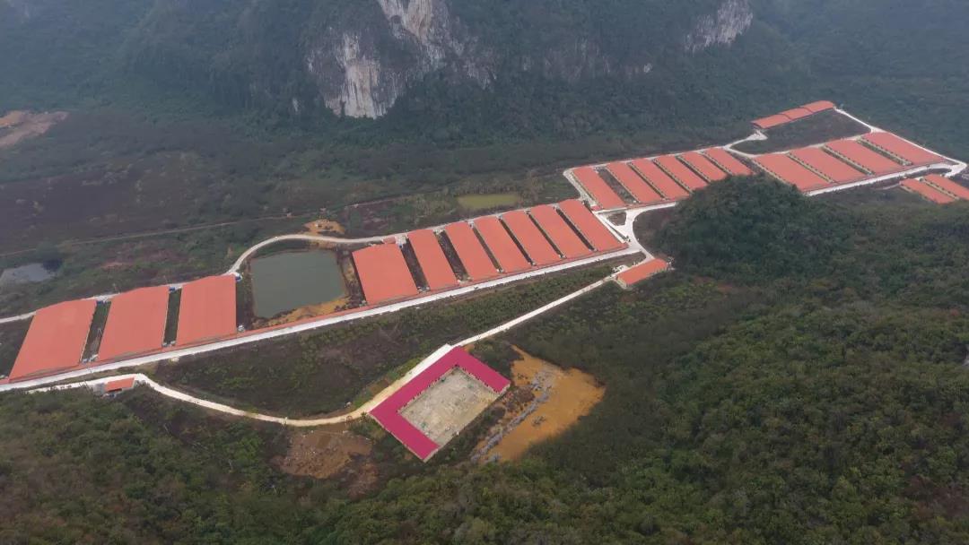 中国电子游艺网站下载安装
