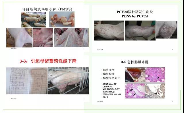 中国电子游艺网站下载安装
