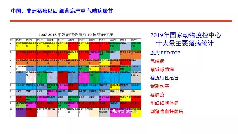 中国电子游艺网站下载安装
