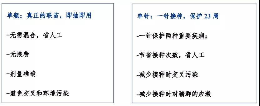 中国电子游艺网站下载安装
