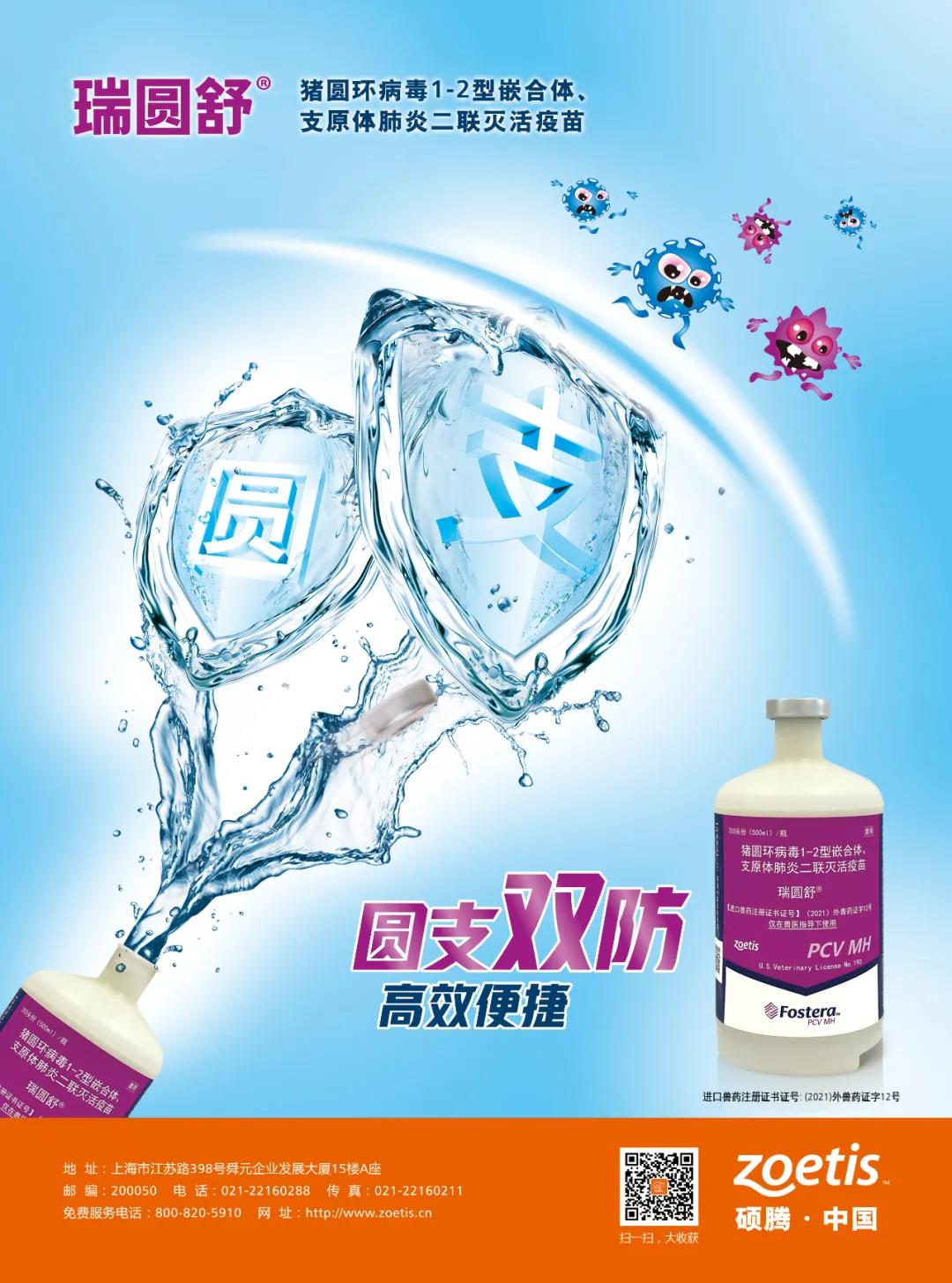 中国电子游艺网站下载安装
