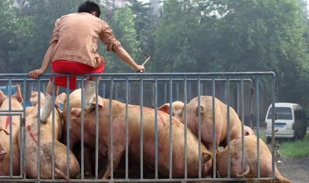 中国电子游艺网站下载安装
