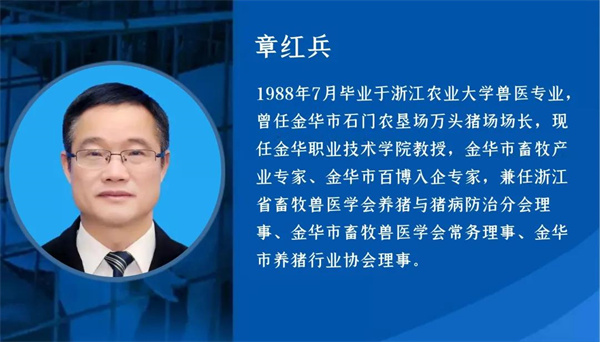 中国电子游艺网站下载安装