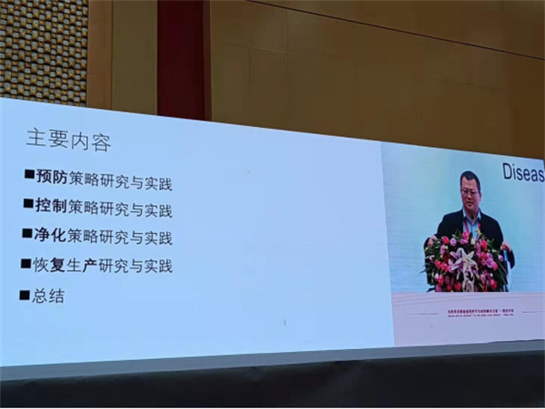 李孝文，新希望六和