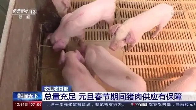 中国电子游艺网站下载安装
