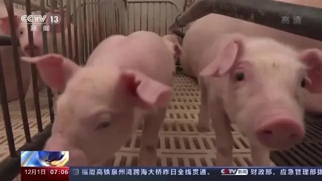 中国电子游艺网站下载安装

