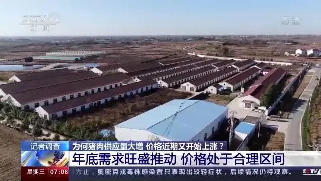 中国电子游艺网站下载安装
