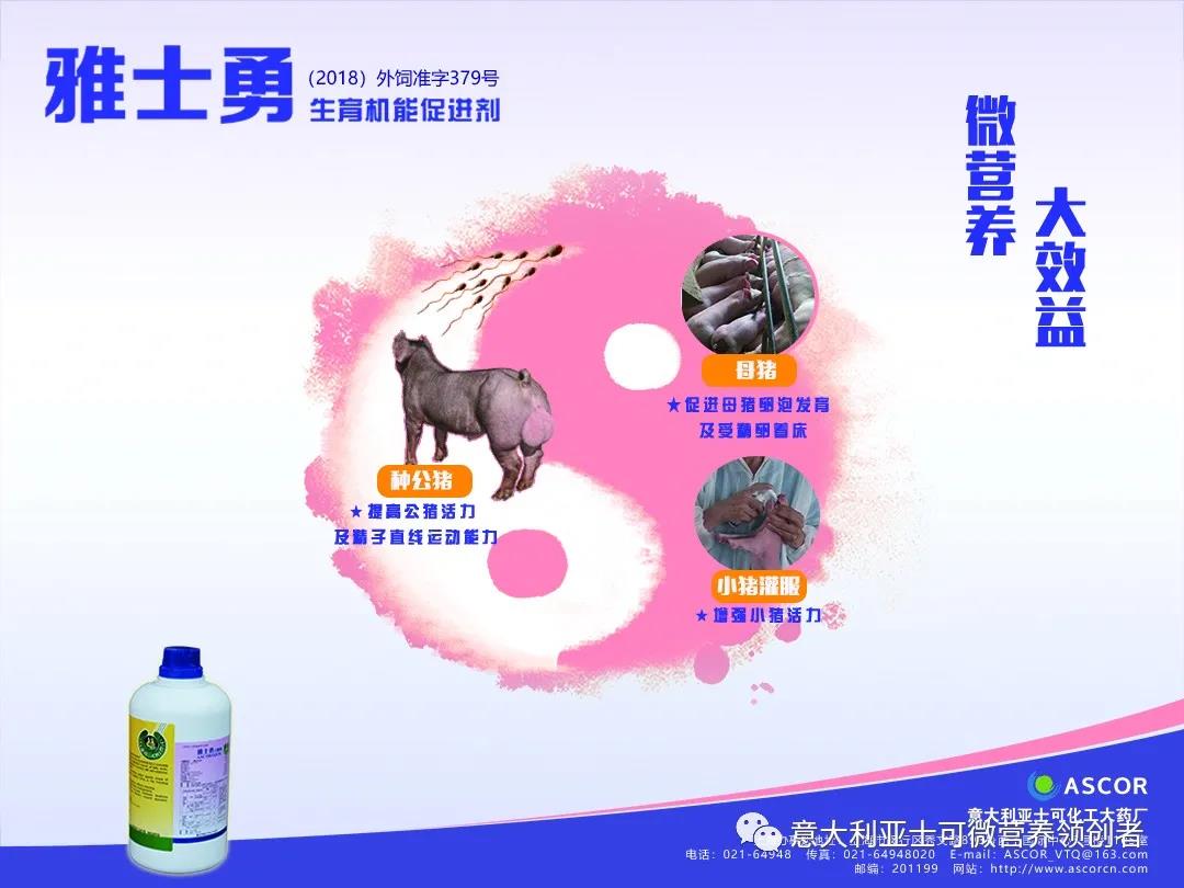 中国电子游艺网站下载安装
