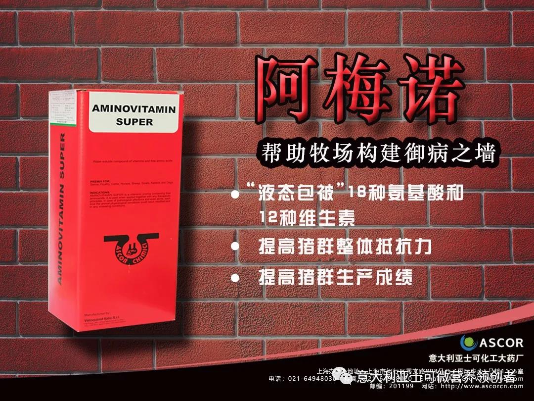 中国电子游艺网站下载安装
