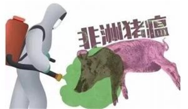 兽药知识 | 几种非洲猪瘟常用的消毒剂