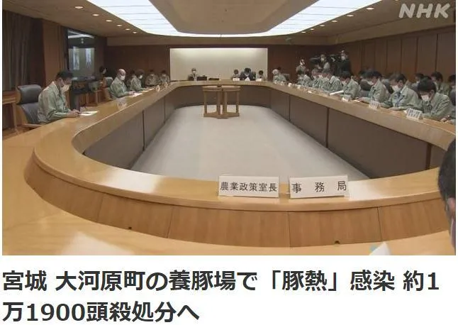 日本一养电子游艺网站
现猪瘟疫情，约1.2万头猪被扑杀！