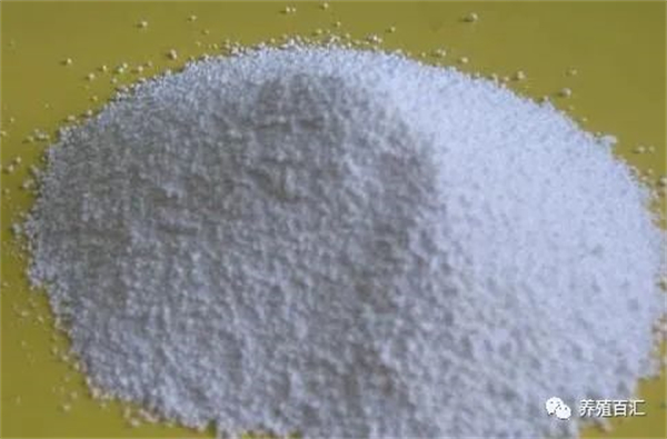 兽药知识 | 电子游艺网站
常见用药-阿莫西林的巧用!