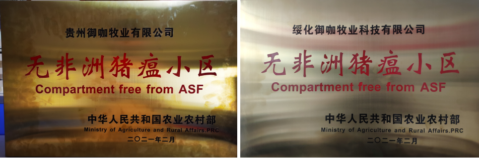 中国电子游艺网站下载安装
