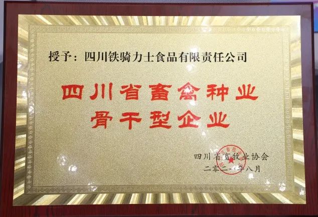 中国电子游艺网站下载安装
