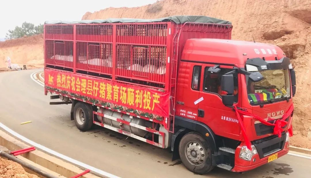 中国电子游艺网站下载安装
