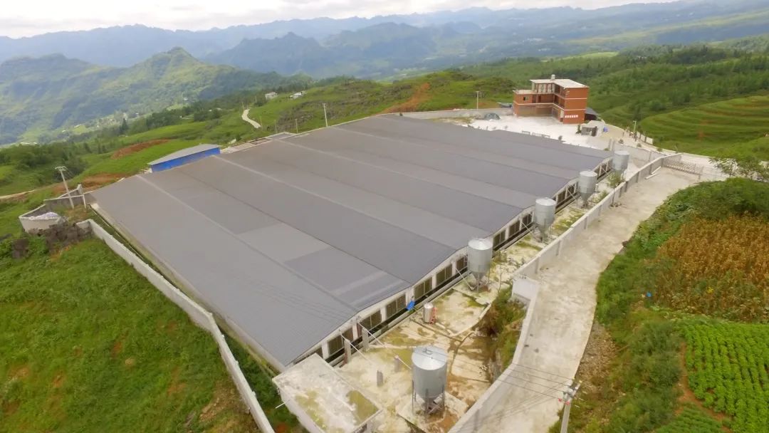 中国电子游艺网站下载安装
