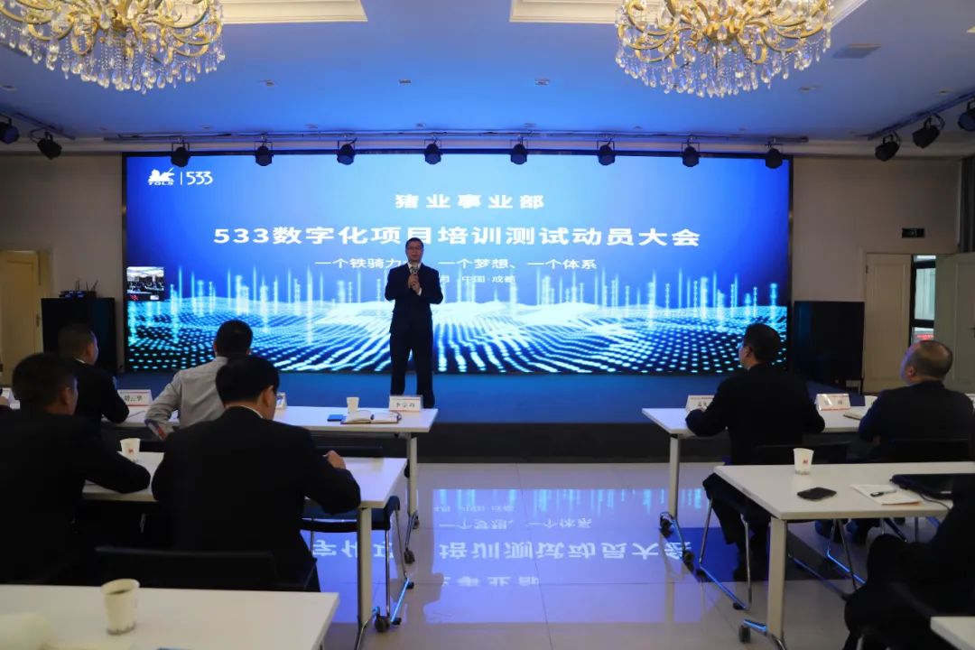 中国电子游艺网站下载安装
