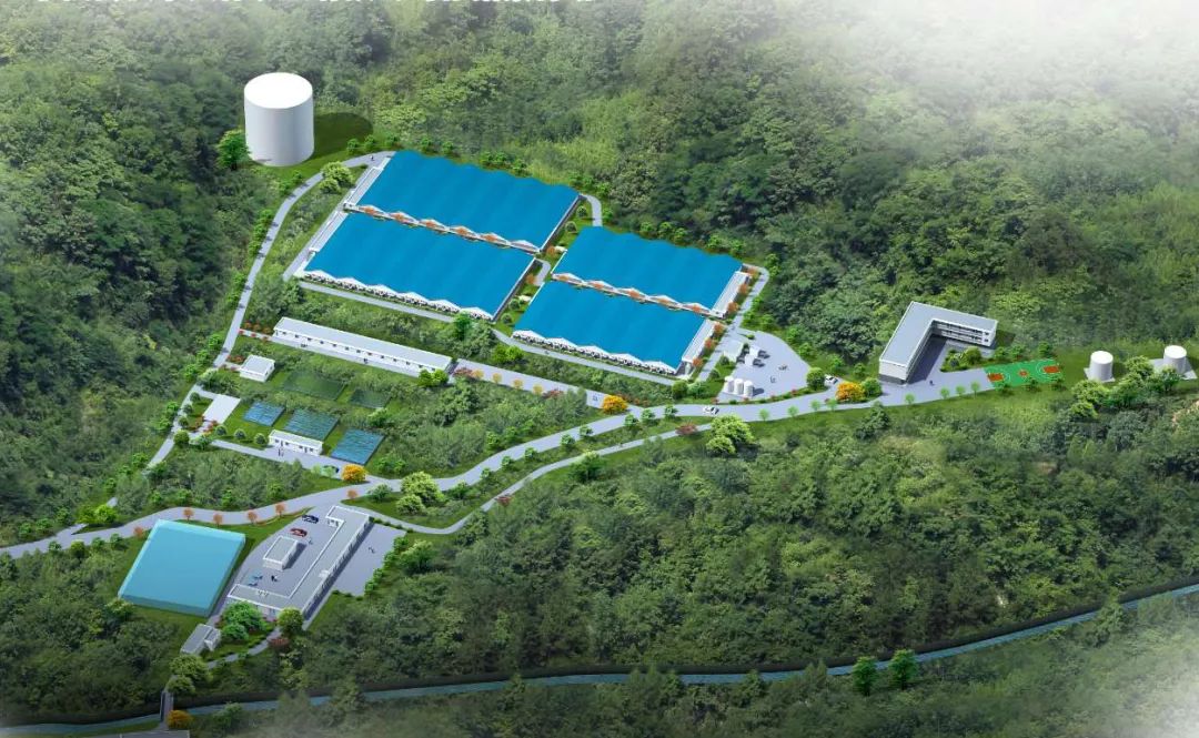 中国电子游艺网站下载安装
