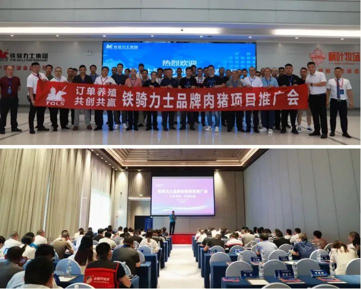 中国电子游艺网站下载安装
