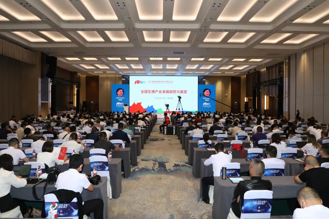 中国电子游艺网站下载安装
