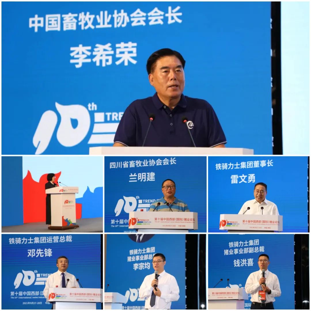 中国电子游艺网站下载安装
