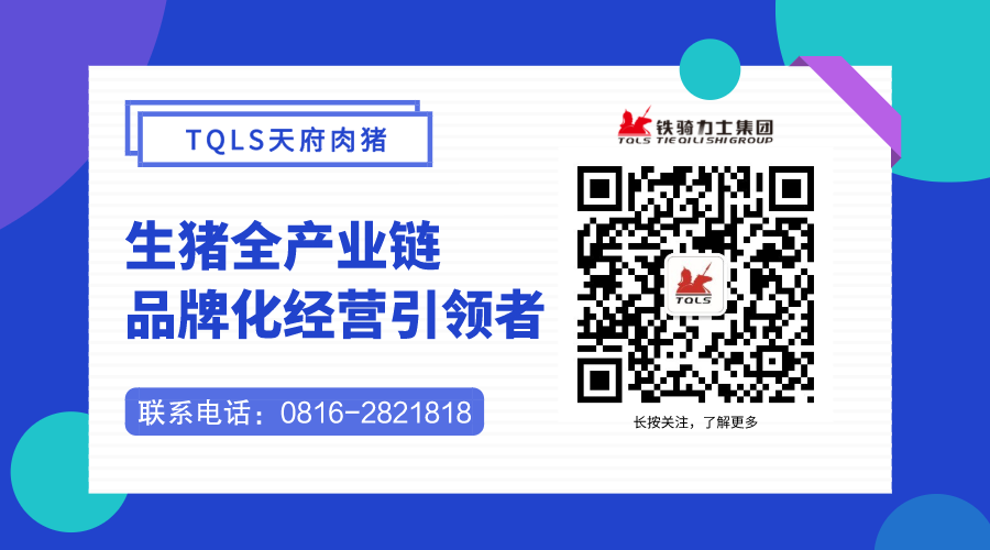 中国电子游艺网站下载安装
