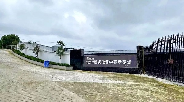 中国电子游艺网站下载安装
