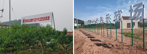 中国电子游艺网站下载安装
