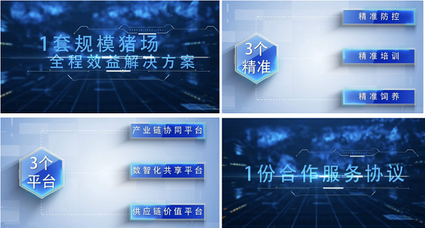 中国电子游艺网站下载安装
